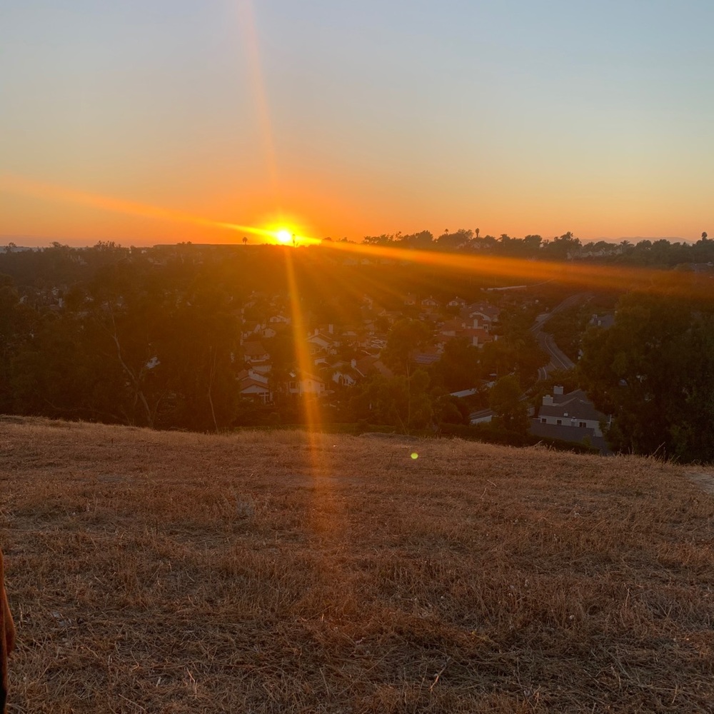 Meet your Posher, Damian